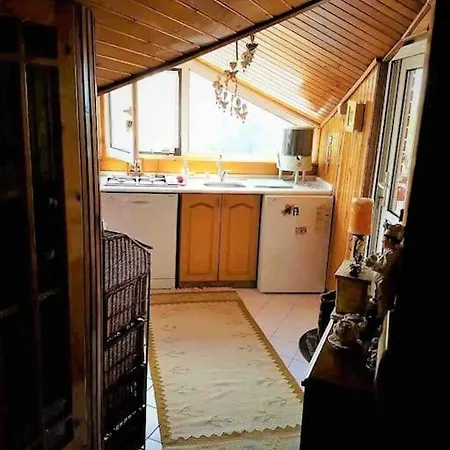 Peaceful Hometown With Perfect Sea And Forest View Apartment Istanbul
