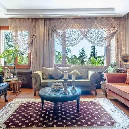 Peaceful Hometown With Perfect Sea And Forest View *