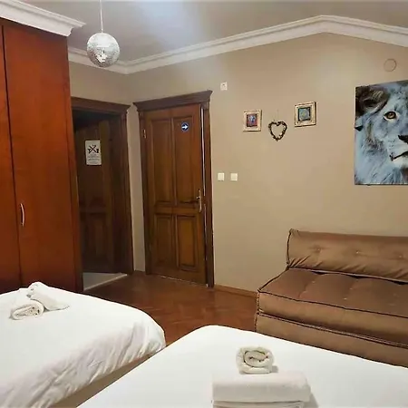 Peaceful Hometown With Perfect Sea And Forest View Apartment Istanbul